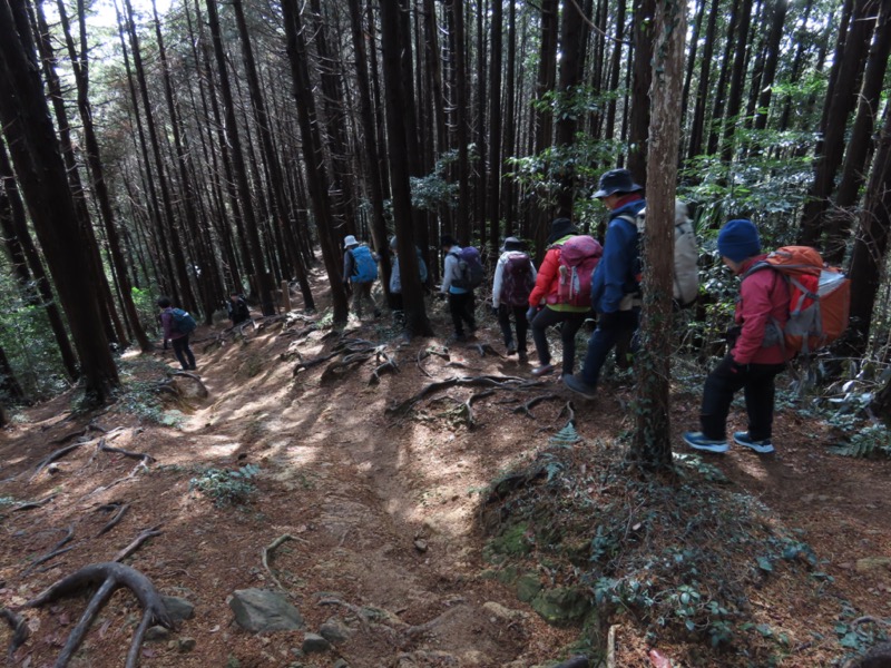 日和田山、物見山